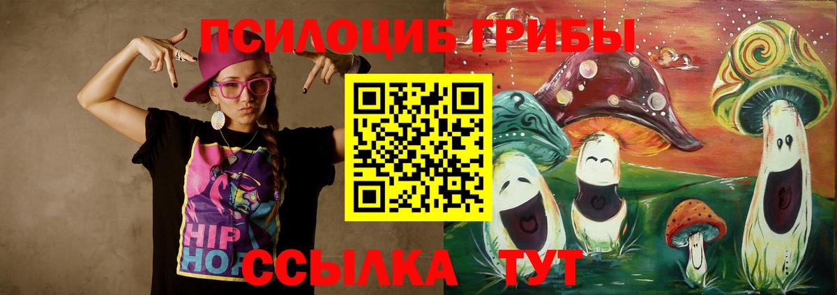 Галлюциногенные грибы мицелий  Вход с VPN  Коряжма 